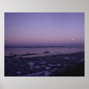 Yukon Delta National Wildlife Refuge Poster