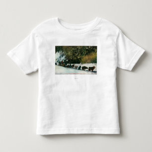 Yukon Dog Team Freighting Through Alaska Canyon Toddler T-Shirt
