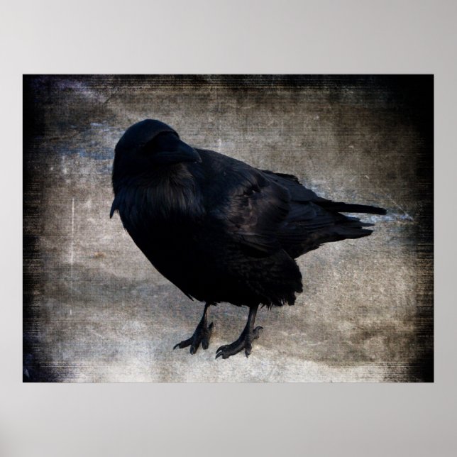 Yukon Raven Grunge Poster (Front)