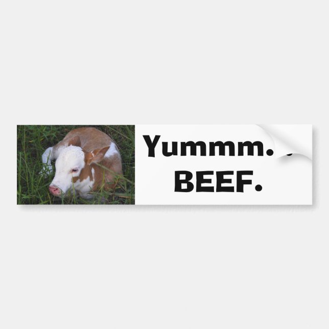 "Yum, Beef" bumper sticker (Front)