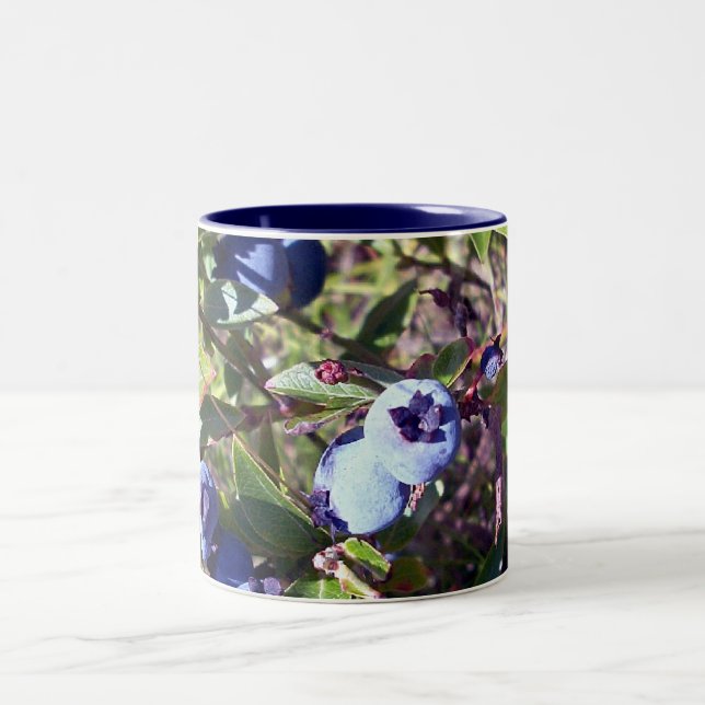 Yummy Blueberries Two-Tone Coffee Mug (Center)