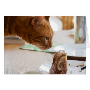 Yummy Guglhupf