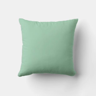 Yummy Mint Green Solid Colour Cushion