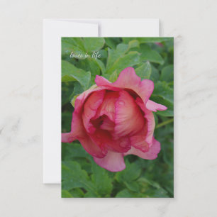 Yummy Pink Blooming Peony Card