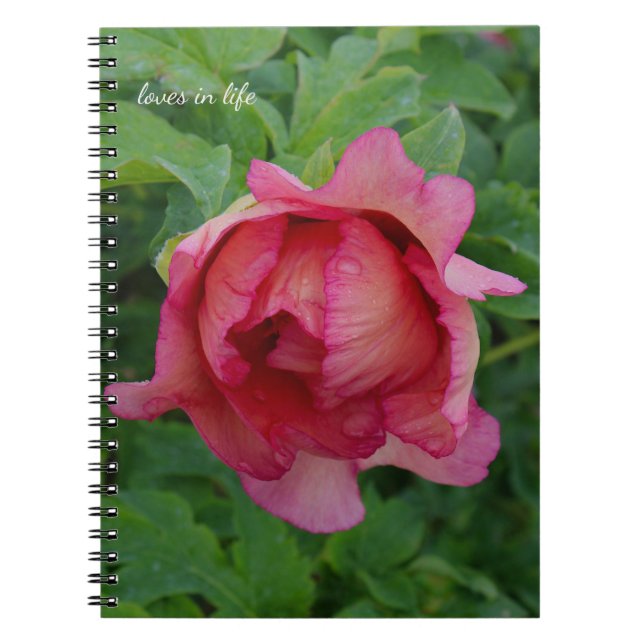 Yummy Pink Blooming Peony Notebook (Front)