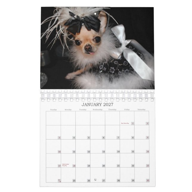 YumYum  2014  Calendar (Jan 2027)