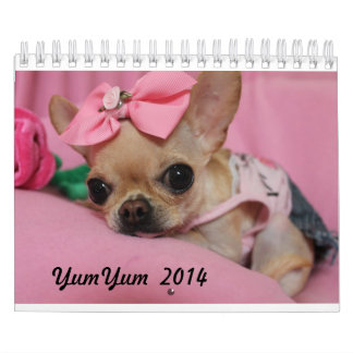 YumYum 2014 Calendar