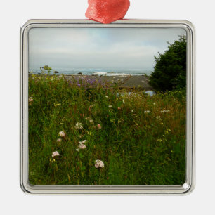 Yurok Loop Trail at Redwood National Park Metal Ornament