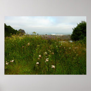 Yurok Loop Trail at Redwood National Park Poster