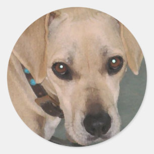 YY- Cute pup stickers