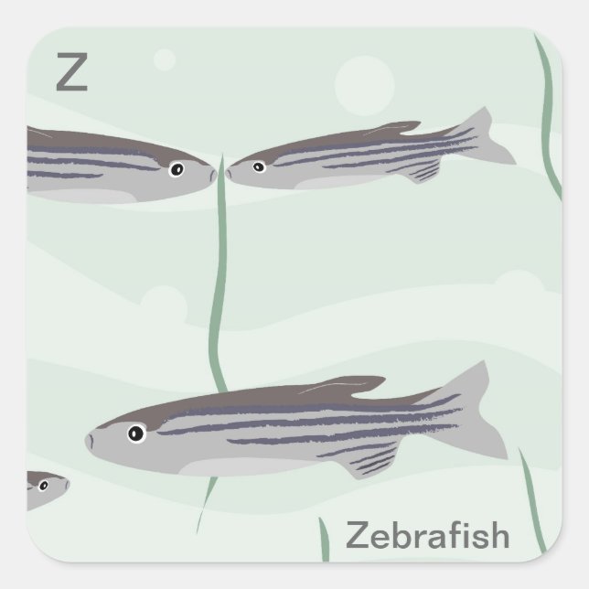 Z for zebrafish Sticker (Front)