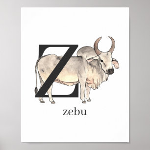 Z for Zebu Poster