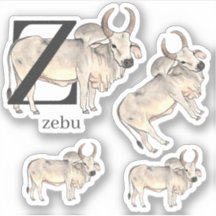 Z for Zebu Stickers
