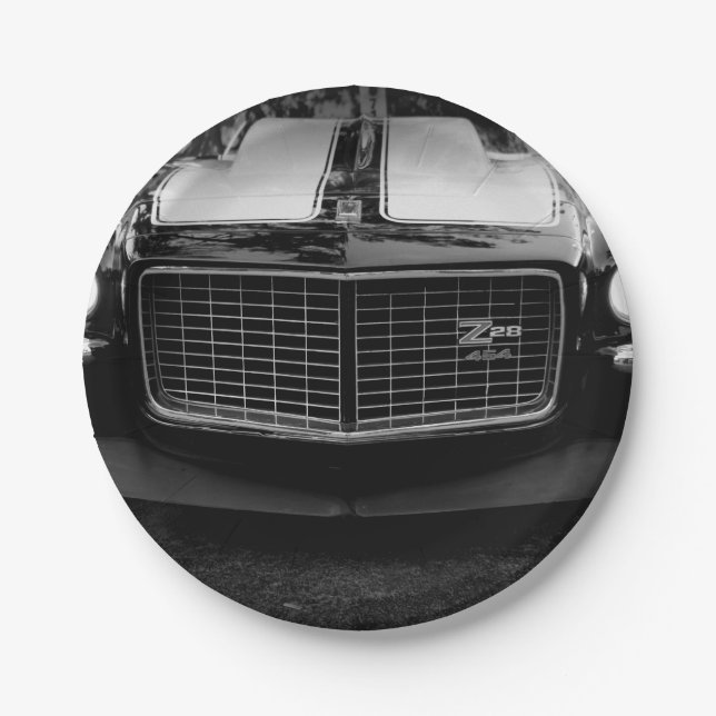 Z PAPER PLATE (Front)