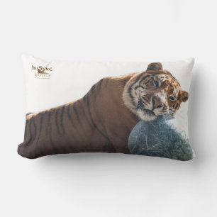 Zachariah's Got Your Back Lumbar Cushion