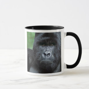 Zaire, Virungas National Park. Portrait of Mug