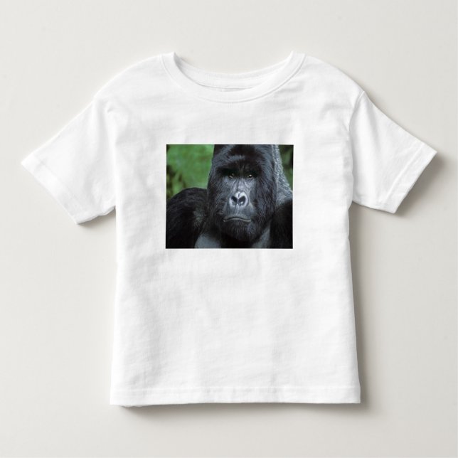 Zaire, Virungas National Park. Portrait of Toddler T-Shirt (Front)