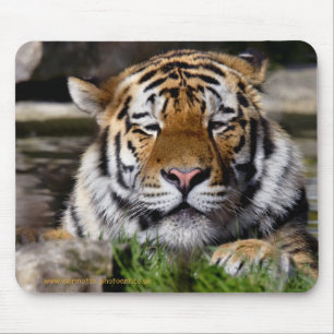 Zambar Tiger Mousemat