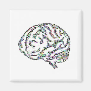 Zany Brainy Magnet