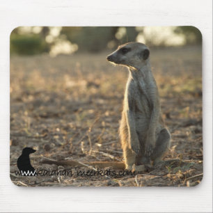 Zaphod 12th Birthday mousepad