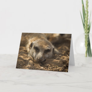 Zaphod's 12th Birthday Card 4