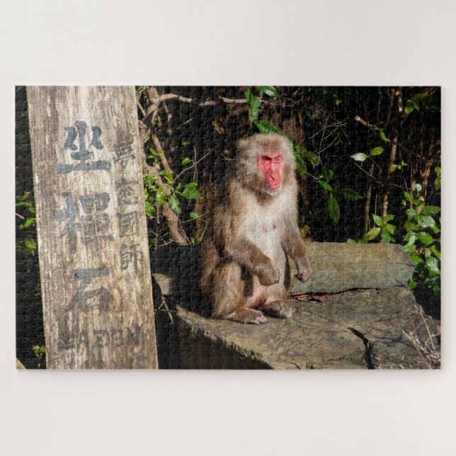 ZaZen Temple Monkey Arashiyama Kyoto Japan Jigsaw Puzzle (Horizontal)