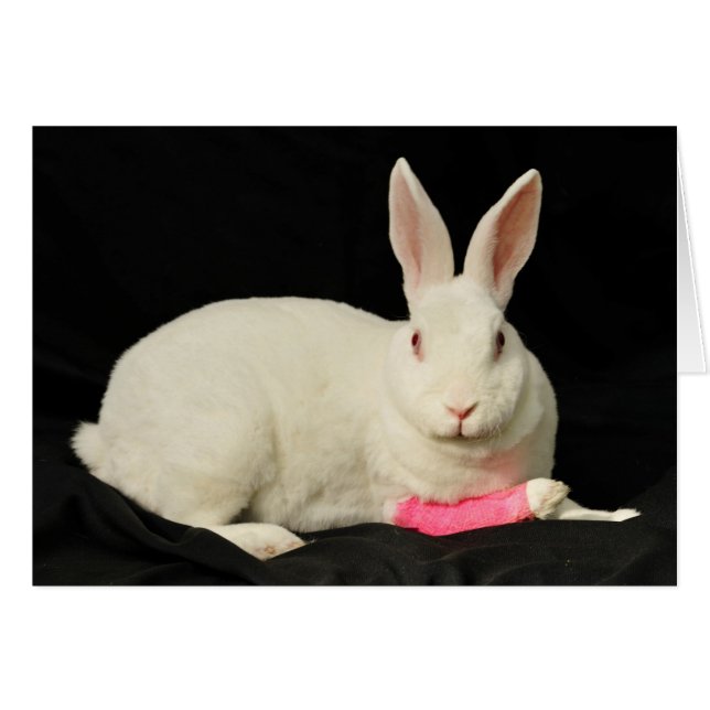 Zazzle (Front Horizontal)