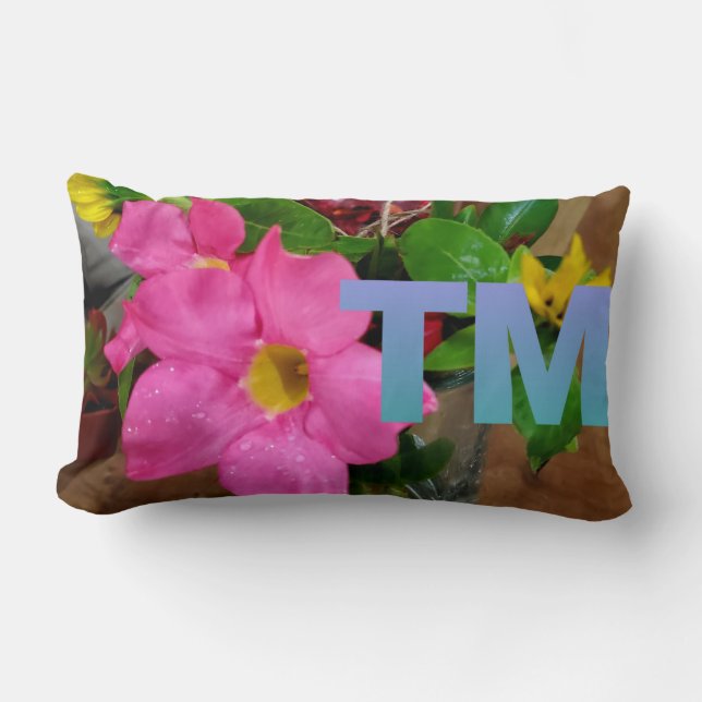 Zazzle's TrendMerica Store  Exclusive Throw Pillow (Front)