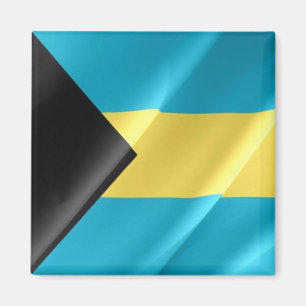 zBS002 BAHAMAS, Waving Flag, America, Fridge Magnet