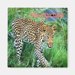 zBW007 OKAVANGO Delta, Ghepard BOTSWANA, Fridge Magnet