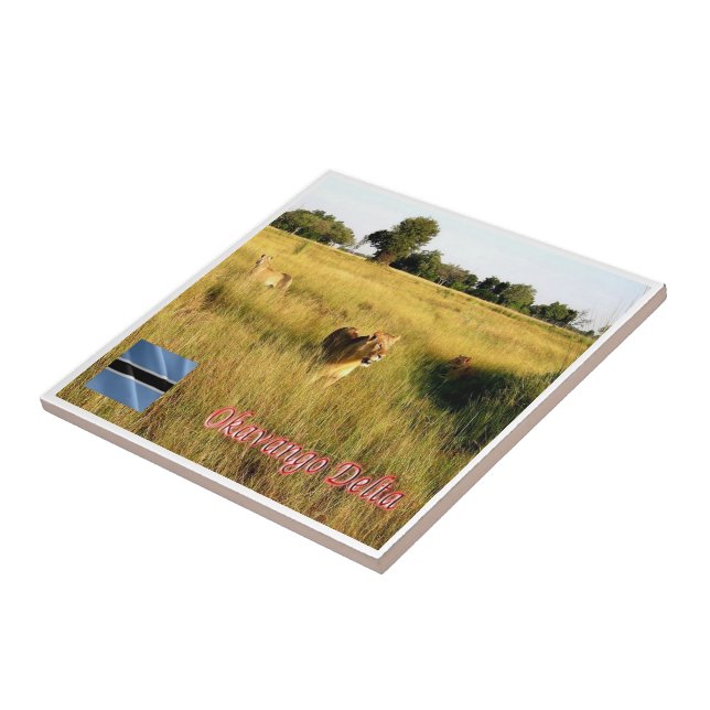 zBW008 OKAVANGO Delta, Lion, Africa, Ceramic Tile (Side)