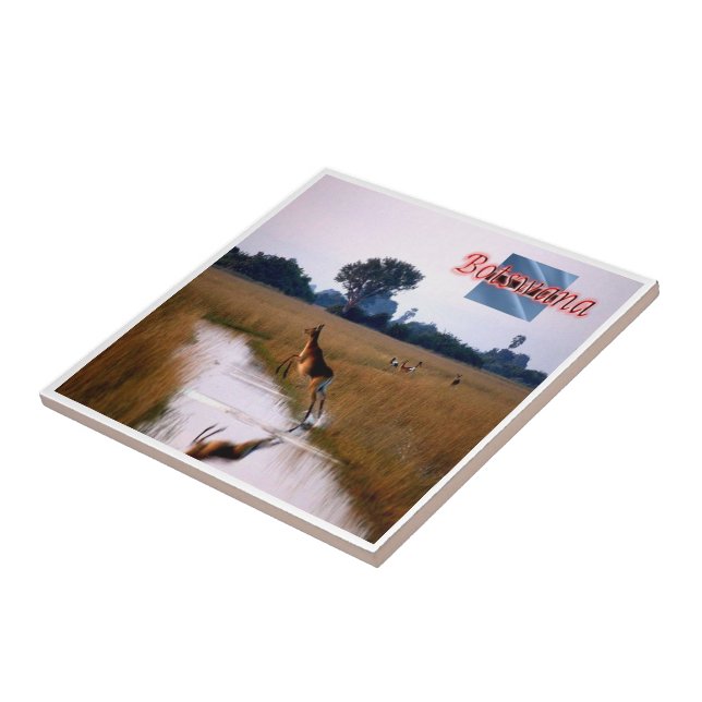zBW011 BOTSWANA, Flying Female Lechwe, Ceramic Tile (Side)