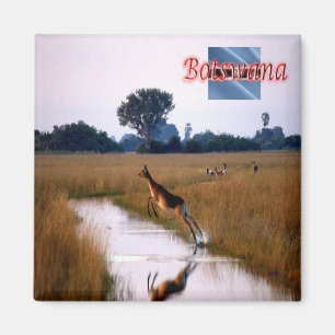 zBW011 BOTSWANA, Flying Female Lechwe, Fridge Magnet
