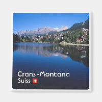 zCH023 CRANS MONTANA Switzerland, fridge