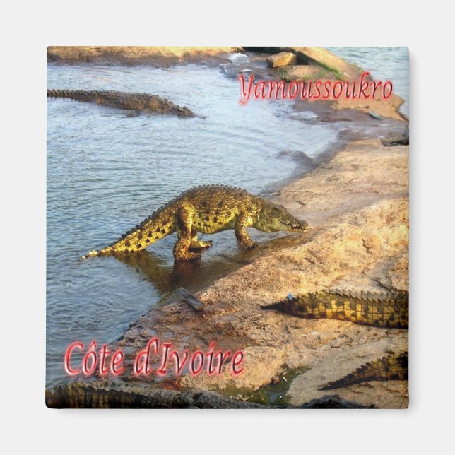 zCI011 YAMOUSSOUKRO, Ivory Coast, Africa, Fridge Magnet (Front)