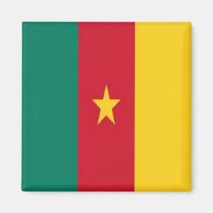 zCM001 CAMEROON FLAG, Africa, Fridge Magnet