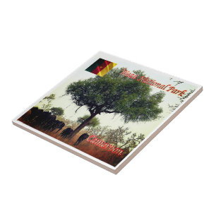 zCM007 WASA N.P. Camerron, Africa, Ceramic Tile