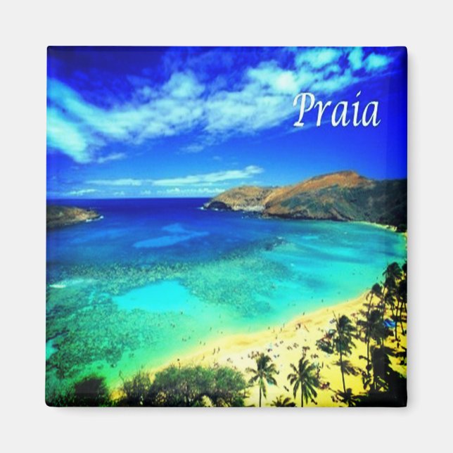 ZCV014  PRAIA, Panorama,Cape Verde, Africa, Fridge Magnet (Front)