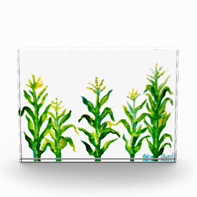 Zea mays photo block (Front)