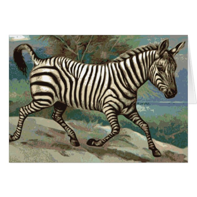 Zebra (Front Horizontal)