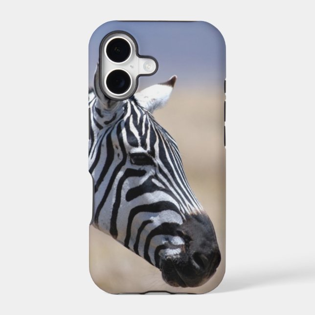 Zebra (Back)