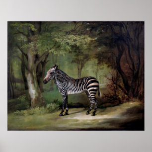 Zebra (1763) painting  poster