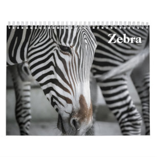 zebra 2024 calendar