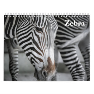 Zebra 2026 calendar