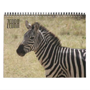 zebra 2026 calendar