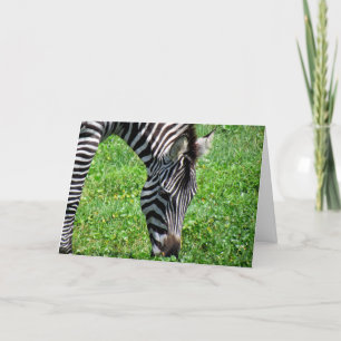 Zebra (2412) - Greeting Card