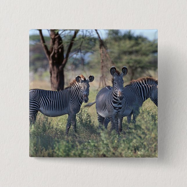 Zebra 2 15 cm square badge (Front)