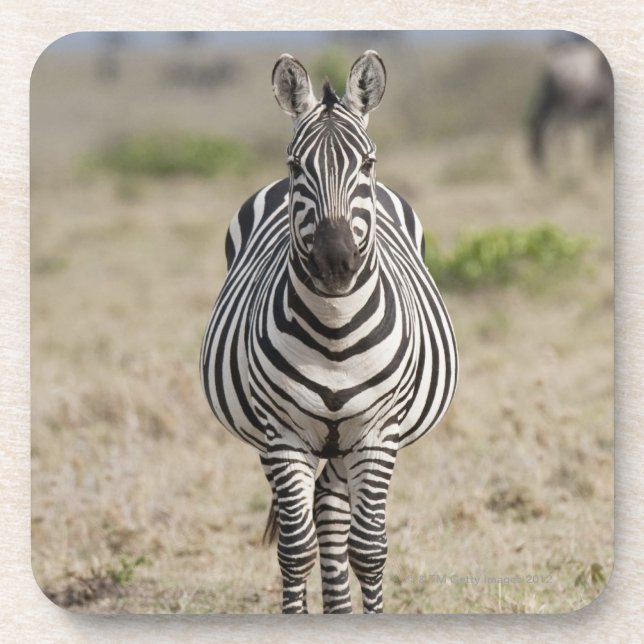 Zebra 2 coaster (Front)