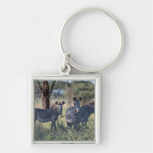 Zebra 2 key ring