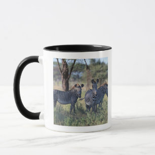 Zebra 2 mug